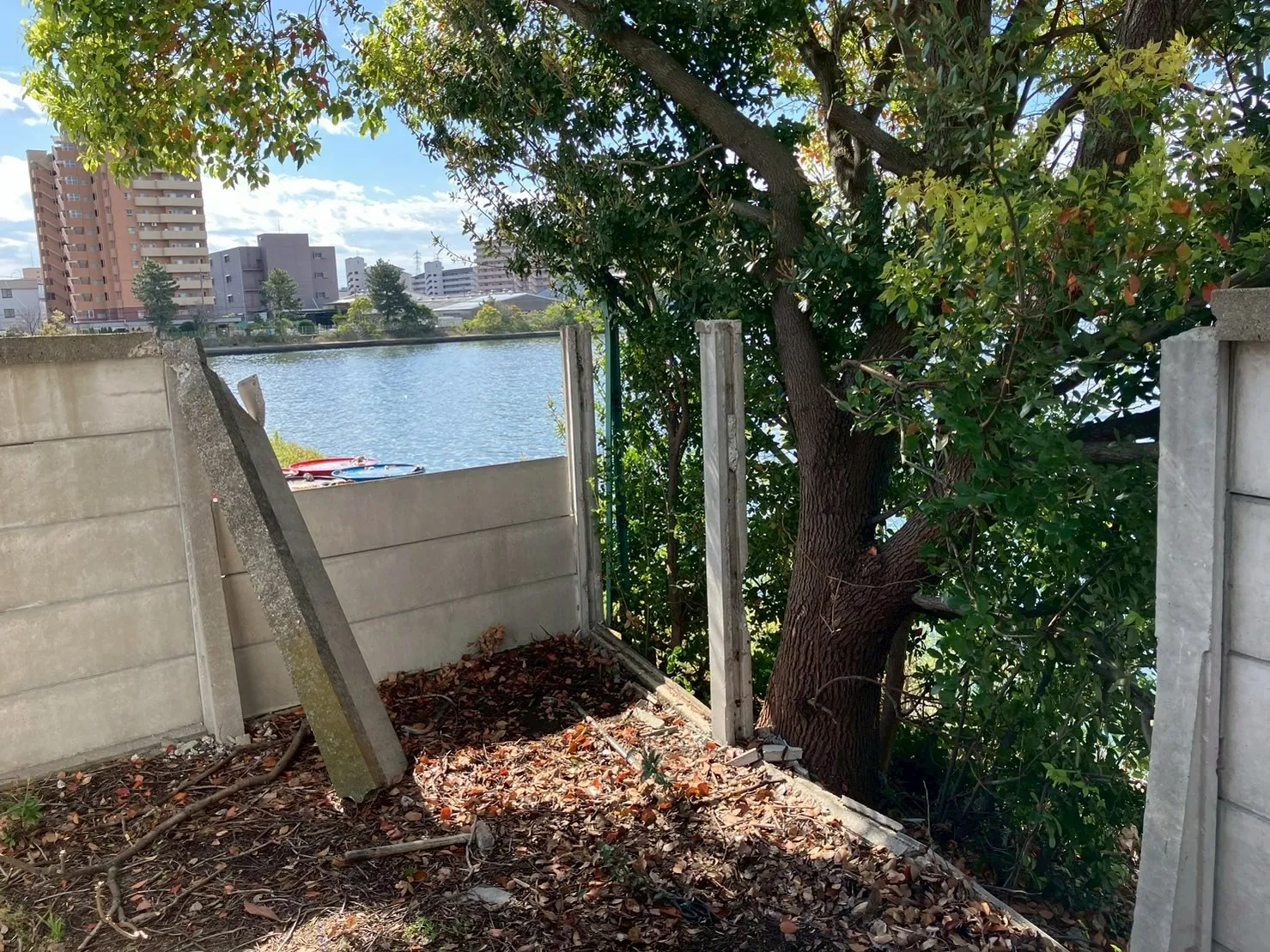 万代塀一部撤去・樹木・雑草除去工事