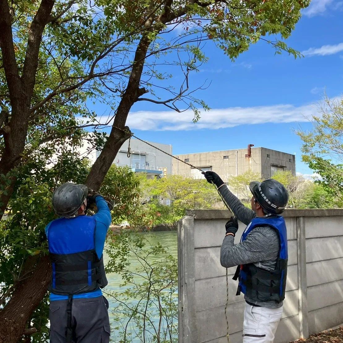 本日はちょっとビフォーアフターをお見せしちゃいます✨ 崩落の...